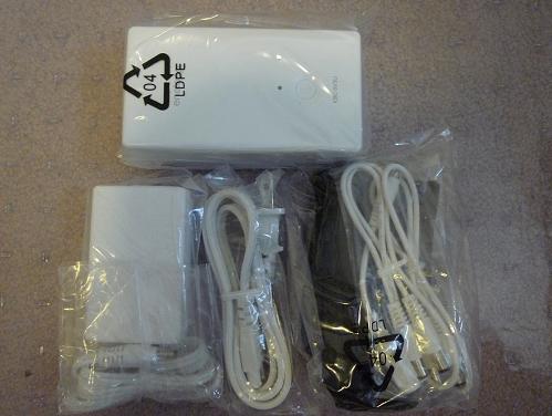 The contents of the box: AC power adapter, two DC output cables, one polarization conversion cord and carrying satchel.