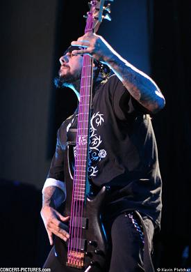 fieldy korn bass player