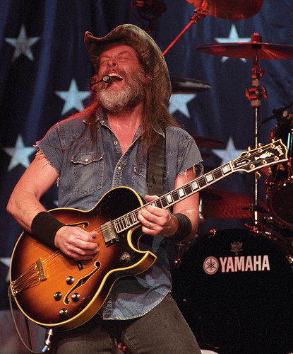 Ted nugent guitar collection deals